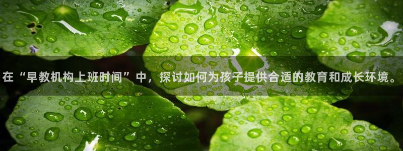 威九国际vA9618：在“早教机构上班时间”中，探讨如何为孩子提供合适的教育和成