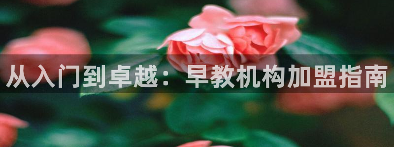 威九国际官方网站最新版本更新内容介绍:从入门到卓越:早教机构加盟指南