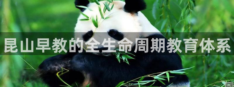 威九国际官网版下载：昆山早教的全生命周期教育体系