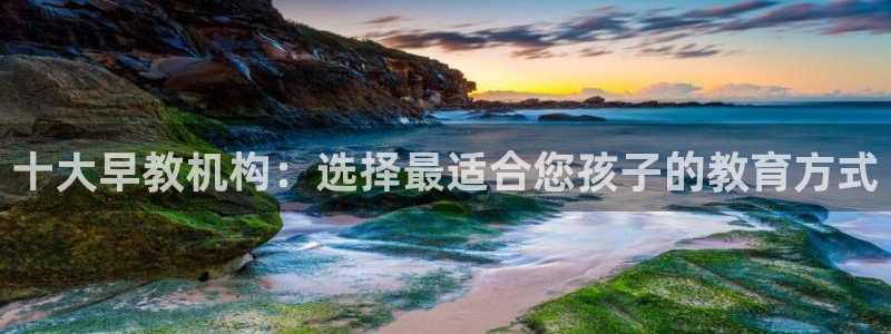 威九国际集团66m一6:十大早教机构:选择最适合您孩子的教育方式