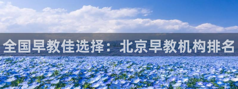 威九国际网站官网:全国早教佳选择:北京早教机构排名