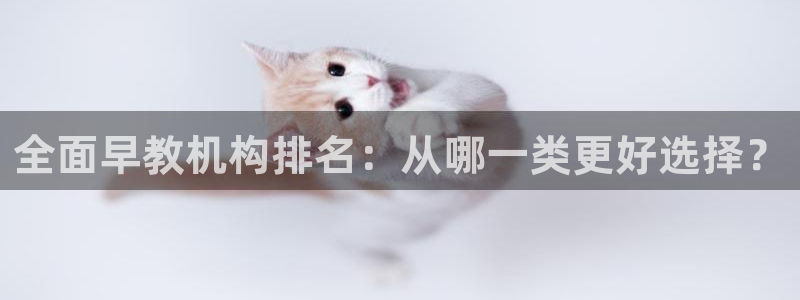 威九国际PPT:全面早教机构排名:从哪一类更好选择?