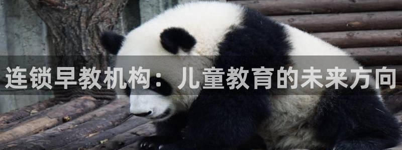 威九国际清砖码:连锁早教机构:儿童教育的未来方向