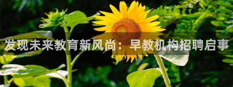 威九国际66m66m:发现未来教育新风尚:早教机构招聘启事