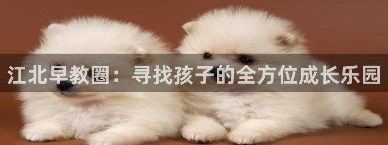 威九国际APP入口:江北早教圈:寻找孩子的全方位成长乐园