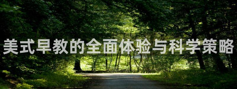 威九国际HP:美式早教的全面体验与科学策略