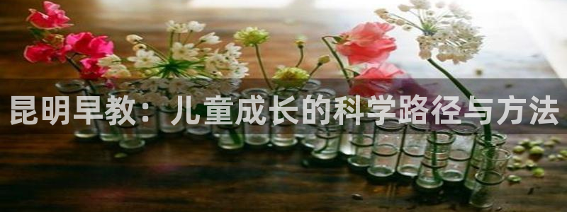 威九国际78ma:昆明早教:儿童成长的科学路径与方法
