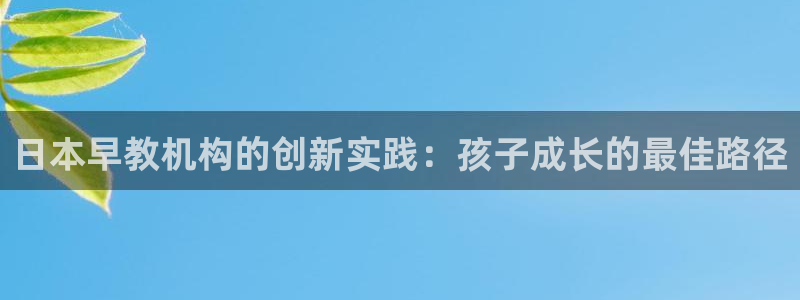 威九国际网站传媒:日本早教机构的创新实践:孩子成长的最佳路径