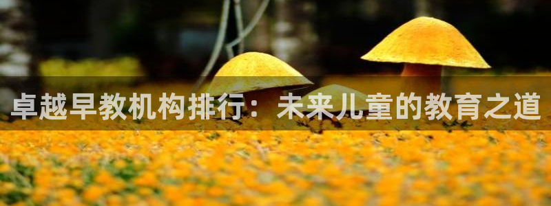 威九国际66m官网版:卓越早教机构排行:未来儿童的教育之道