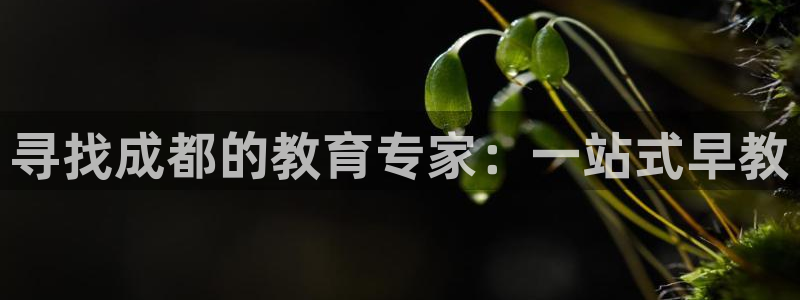 威九国际网站进入(中国)有限公司-官网:寻找成都的教育专家:一站式早教