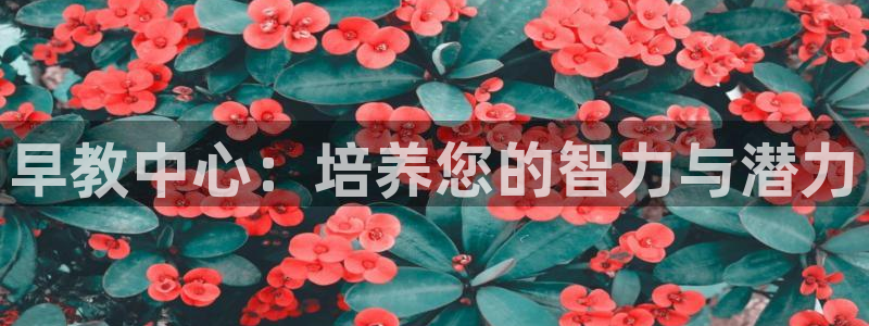 78mapp威九国际媒体:早教中心:培养您的智力与潜力