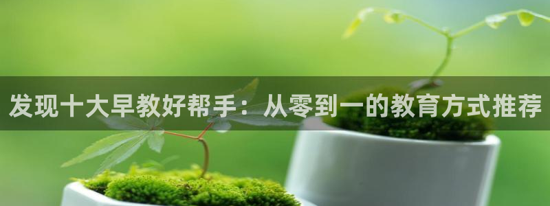 威九国际网站入口地址在哪里：发现十大早教好帮手：从零到一的教育方式推荐