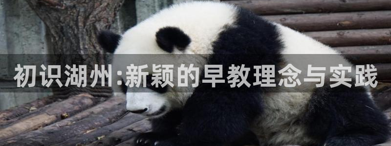 威九国际78mob网页:初识湖州:新颖的早教理念与实践